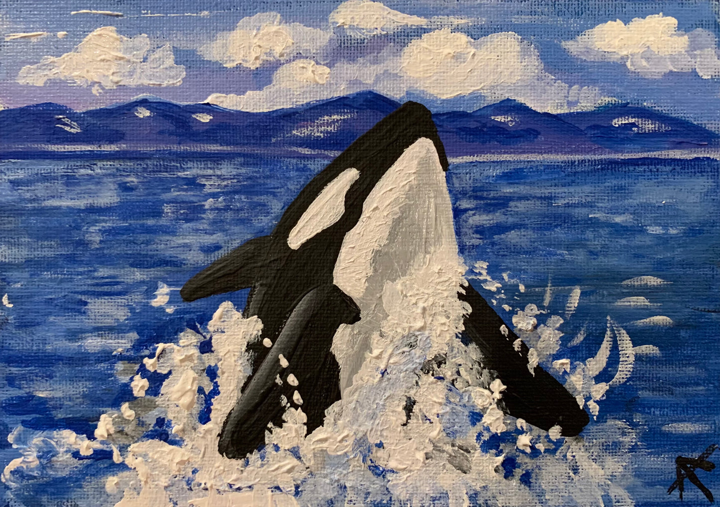 Orca Sticker