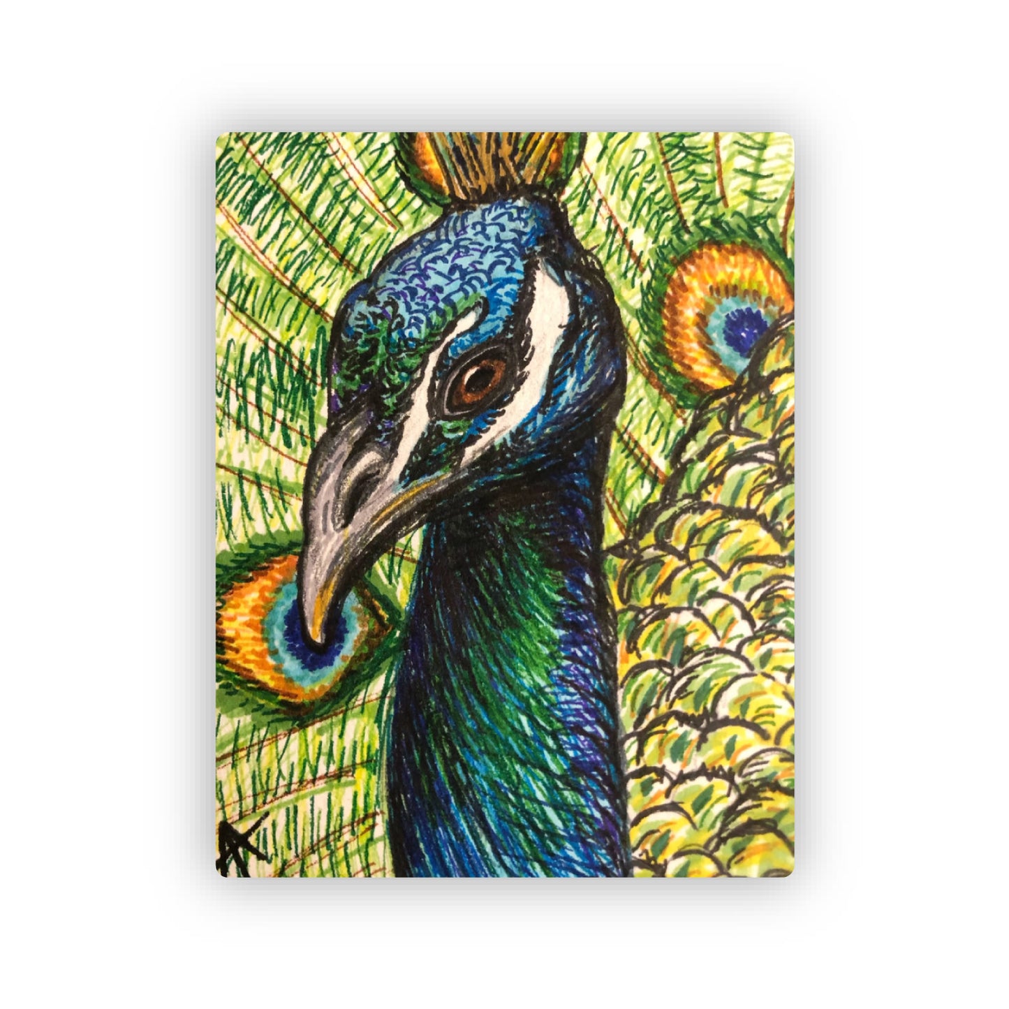 Peacock Sticker