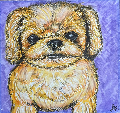 Shih Tzu Finnegan Sticker