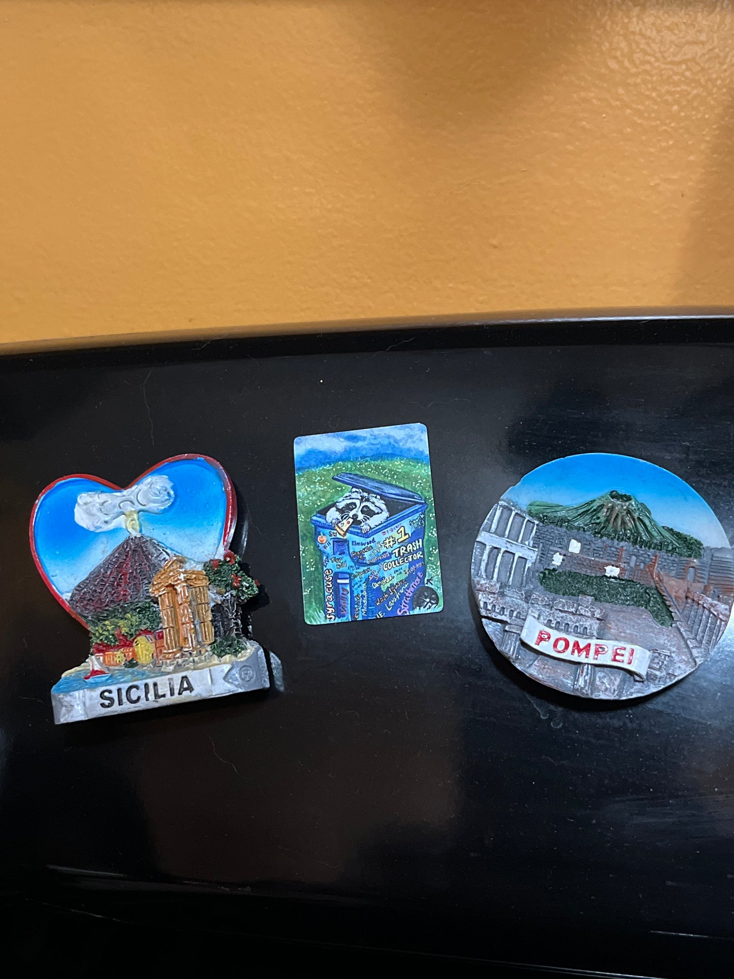 #1 Trash Collector Magnet